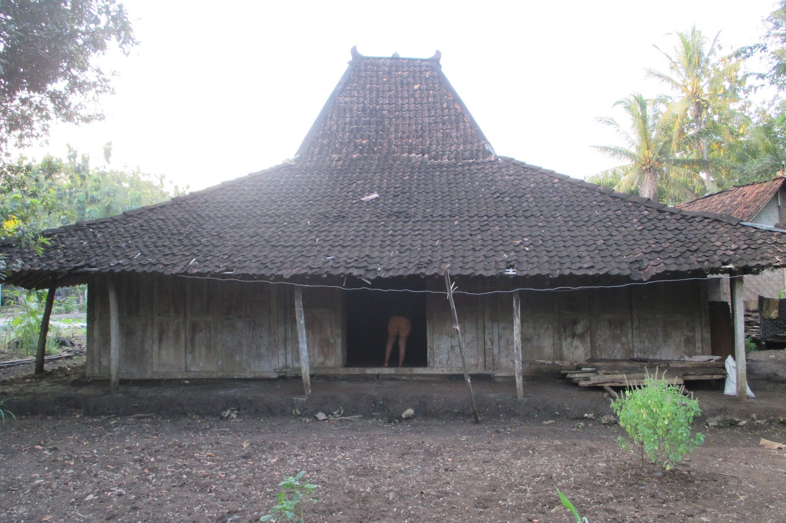  Rumah  Joglo jati 9 Gebyok  lawas RUMAH  LIMASAN DAN RUMAH  