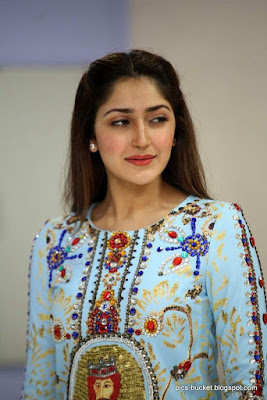 actress sayesha saigal hot images