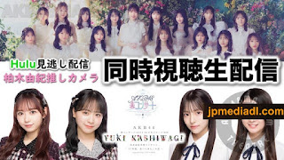 【Webstream】240405 AKB48 4 members watching Kashiwagi Yuki Graduation Concert Oshi Cam (AKB48)