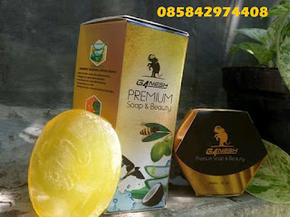 http://sabung4neshpremium.blogspot.com/2018/10/sabun-ganesh-premium-soap-beauty-dengan.html