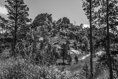 Custer State Park