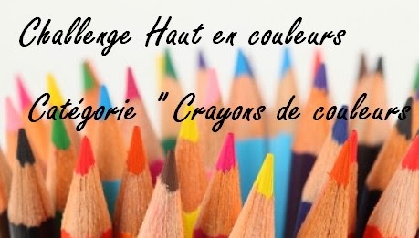 http://minifourmi.blogspot.fr/2013/12/challenge-haut-en-couleurs.html