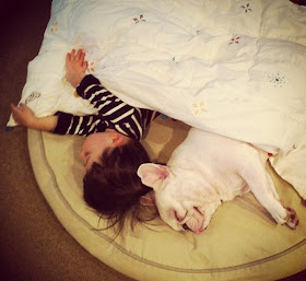 A little boy and his french bulldog are best friends, friendship between boy and his dog, cute dog pictures