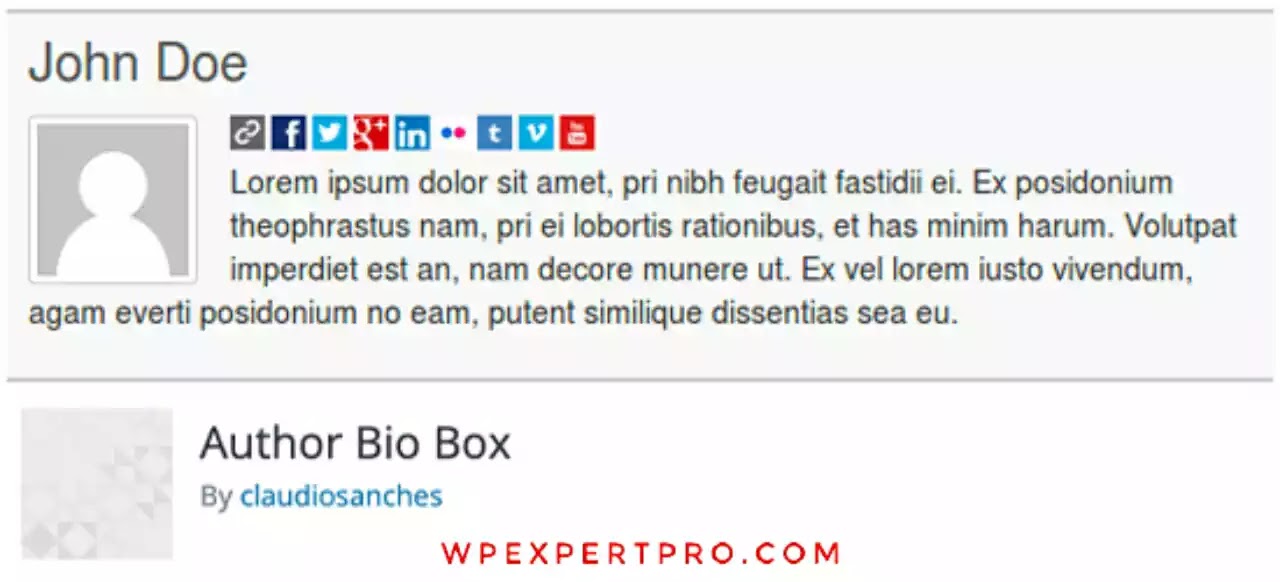 2. Author Bio Box