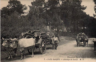 pays basque autrefois