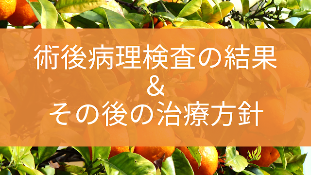 術後病理検査の結果とその後の治療方針