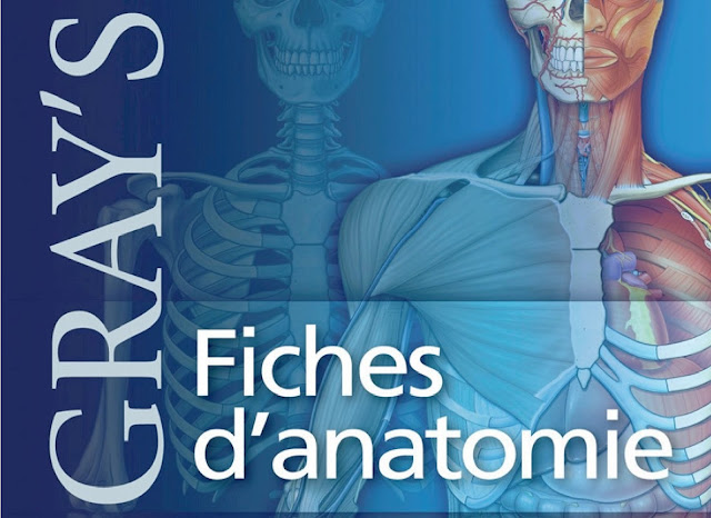 Gray's Fiches d'anatomie