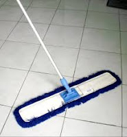 lobby duster set 60 cm