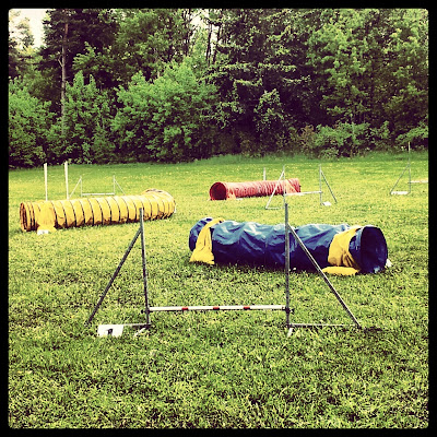 agility tunnel