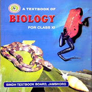 Jamshoro biology book xi pdf download