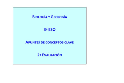  Conceptos clave 2ª Evaluación