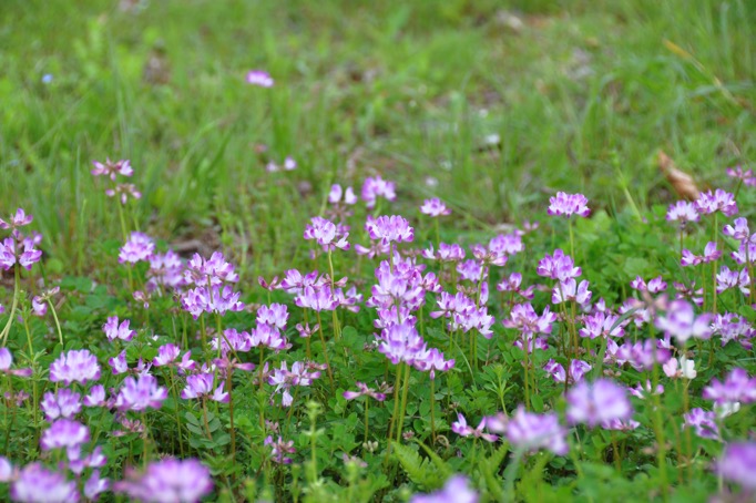 20150419 DSC 0134