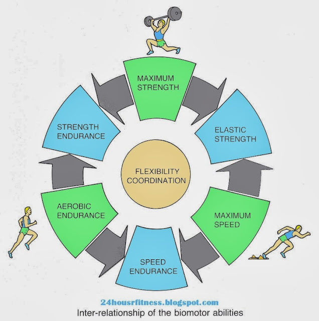 Components of fitness