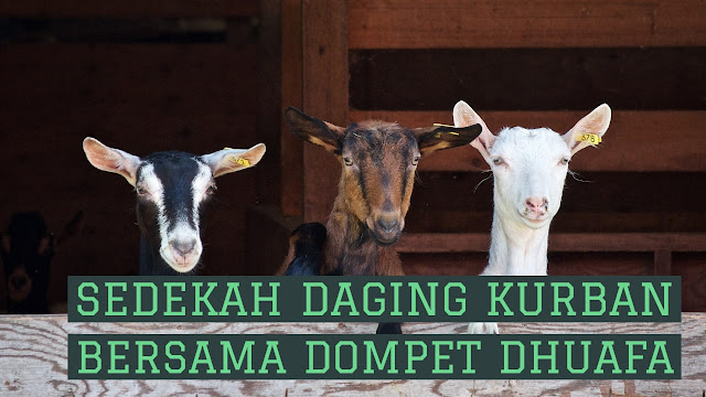 Sedekah Daging Kurban