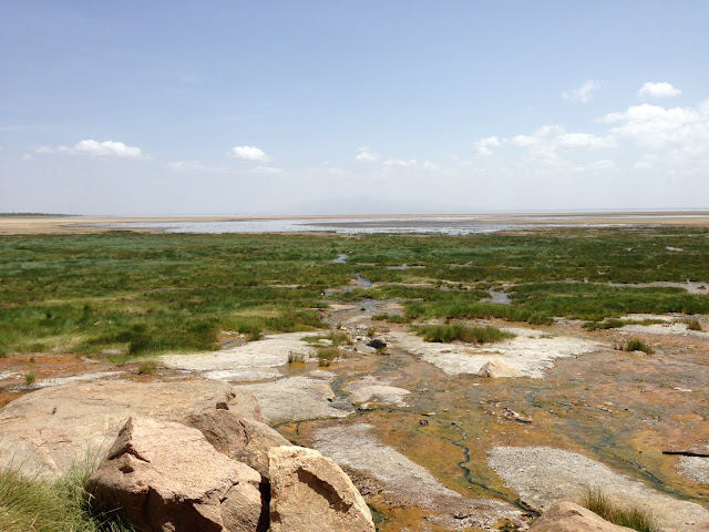 Lake Manyara National Park - Tanzania