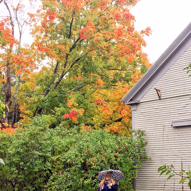 New Hampshire fall foliage