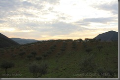 IMG_8283