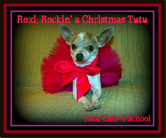 Roxi's Christmas Tutu