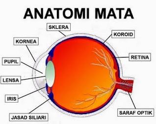 ALAT OPTIK MATA