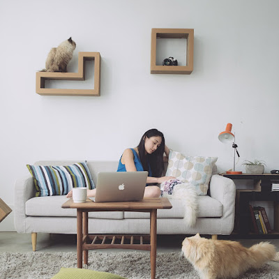 KATRIS SHELVES Modular Cat Shelves, Tetris 'Game' Blocks For Your Cats