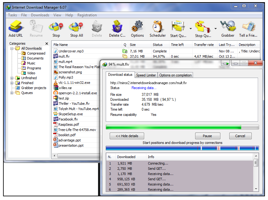 Internet Download Manager