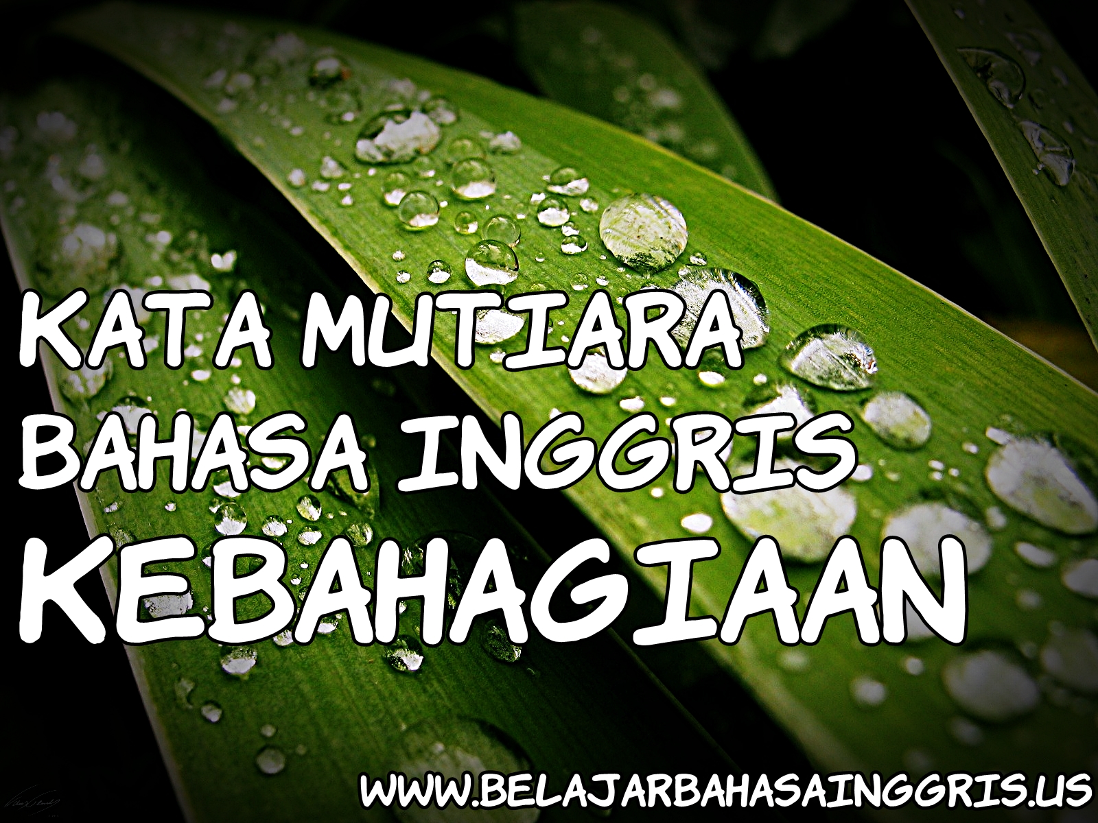 Kata Mutiara Bahasa Inggris Kebahagiaan