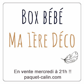 http://www.paquet-calin.com/boutique/box-bebe-deco/