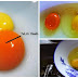 PENTING DIBACA..!!! Tidak Semua Telur Itu Sehat, Berikut Cara Membedakan Telur Ayam Sehat Dan yang Tidak Sehat...