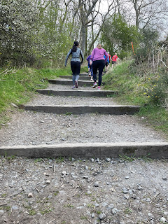 The long trail steps at the beginning of the route.