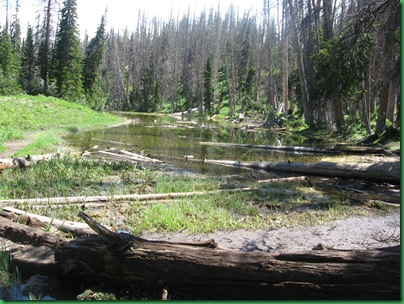 Alpine Pond 034