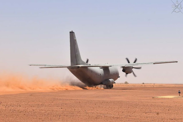 Italian Air Force Niger MISIN