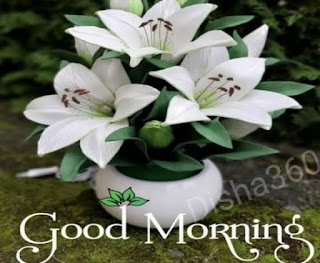 Bangla Good Morning SMS, সুপ্রভাত শুভেচ্ছা বার্তা আজকের, সাত সকালের শুভেচ্ছা বার্তা - Good morning positive quotes in bengali