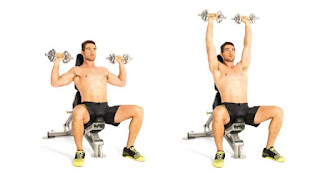 Dumbbell Shoulder Press