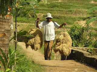 Kampung Naga  Indonesia