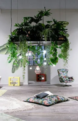 Como utilizar plantas na decoração de interiores