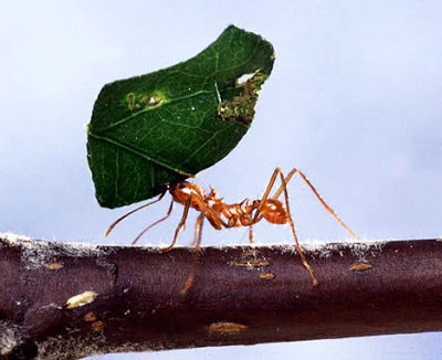 à®‰à®´à¯ˆà®ªà¯à®ªà®¿à®©à¯ à®‰à®©à¯à®©à®¤à®¤à¯à®¤à¯ˆ à®•à¯à®•à®¾à®© à®ªà®Ÿ à®®à¯à®Ÿà®¿à®µà¯