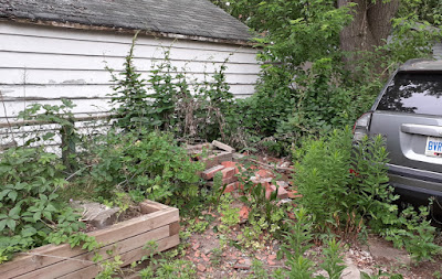 Toronto Backyard Summer Garden Cleanup in East York Before by Paul Jung Gardening Services--a Toronto Organic Gardening Company