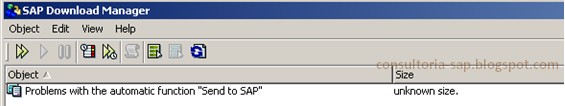 SAP Download Manager