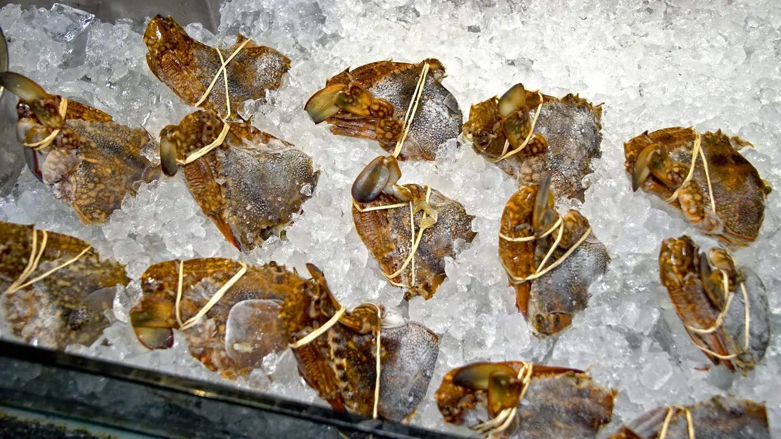 [台南][東區] XM麻辣鍋德安店｜鄉民麻辣火鍋再出發｜食記