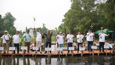 Percepat Perlindungan Ekosistem, Apical Tanam 3.000 Pohon Mangrove di Jakarta