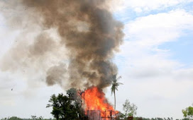 Rakhine Rohingya village burns in army fire: Amnesty
