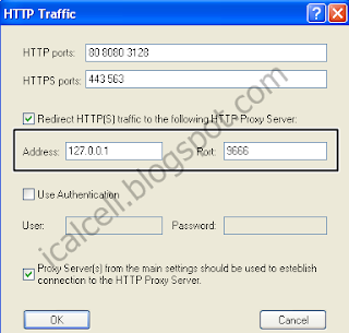 Proxifier - Pengaturan HTTP Traffic