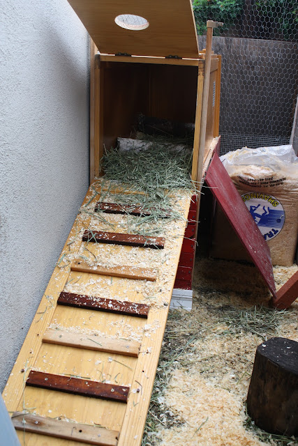 chicken coop made from dresser