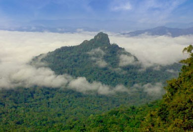 BUKIT SEBOMBAN Photo