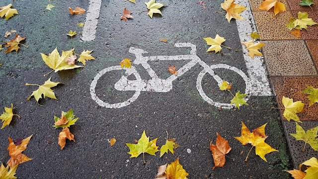 salamancaenbici, otoño 2019