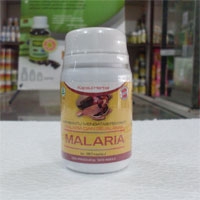 obat herbal malaria