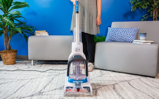 Best Carpet Cleaner for Pets Review 2020