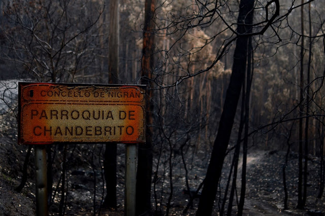 incendio del 15 de octubre en los montes de Vigo. días antes y días despues. lumes nunca máis