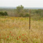 View album