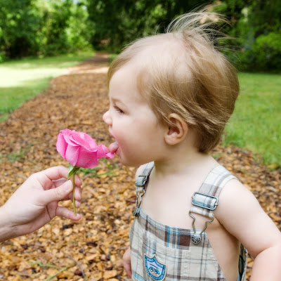 flower licker